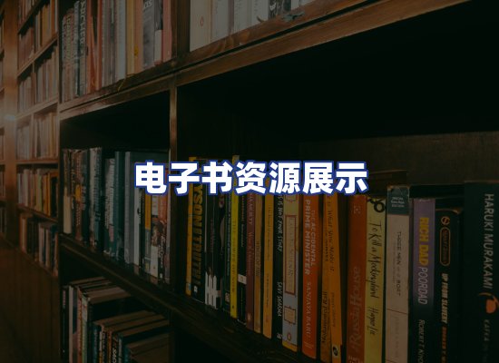 电子书资源展示